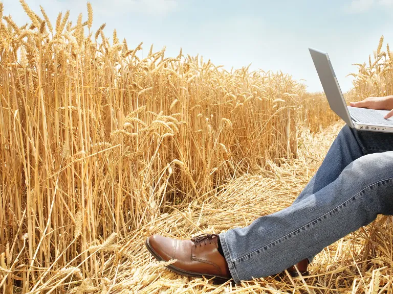 Abschlussarbeiten bei BASF Agricultural Solutions
