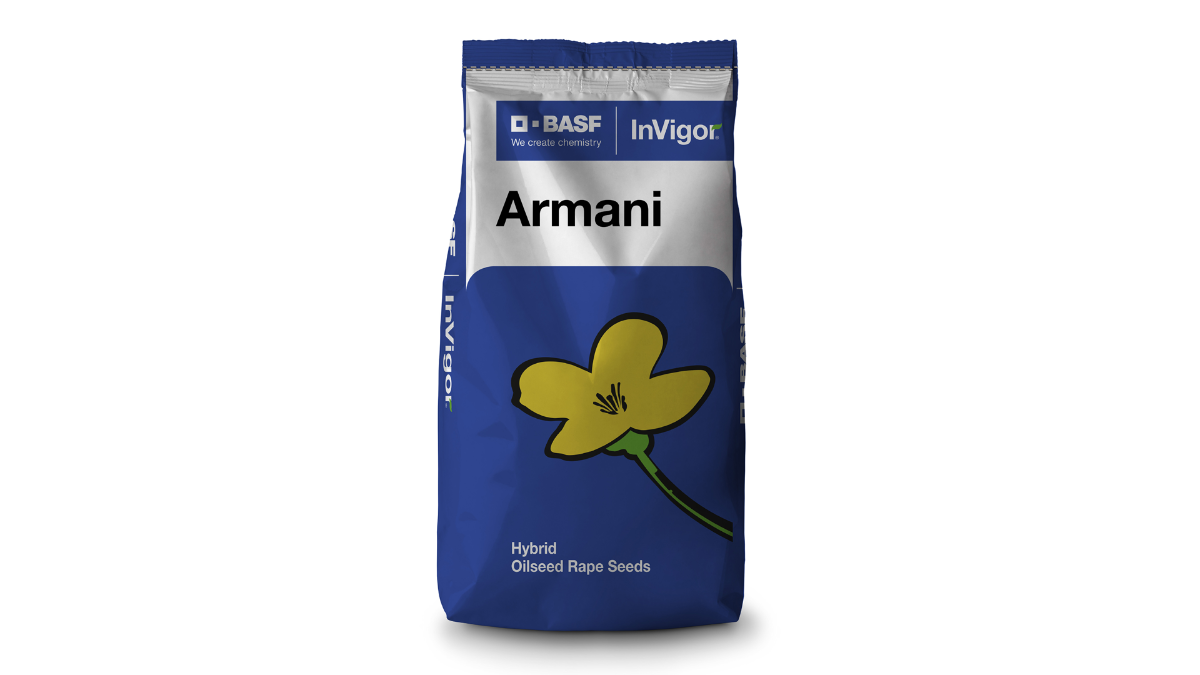 armani