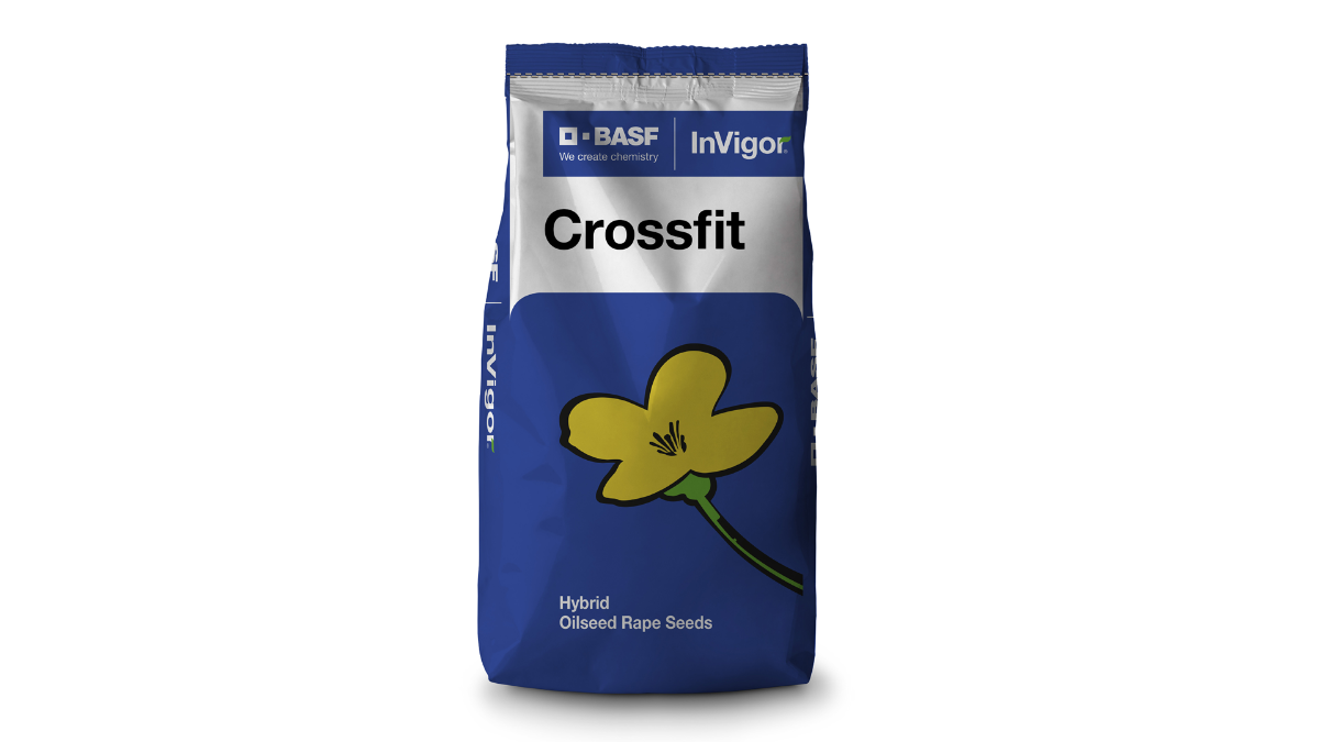   crossfit