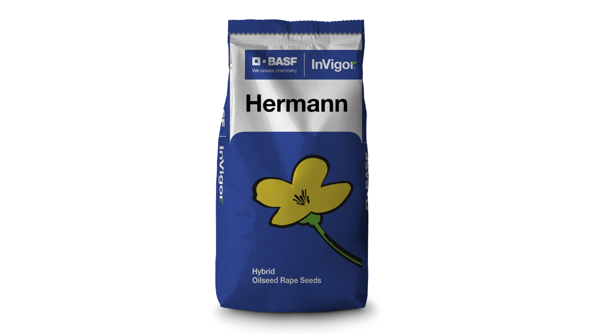   Hermann