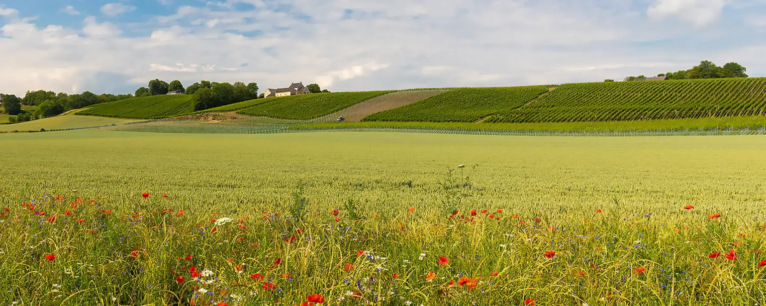 Serviceland BASF Agricultural Solutions